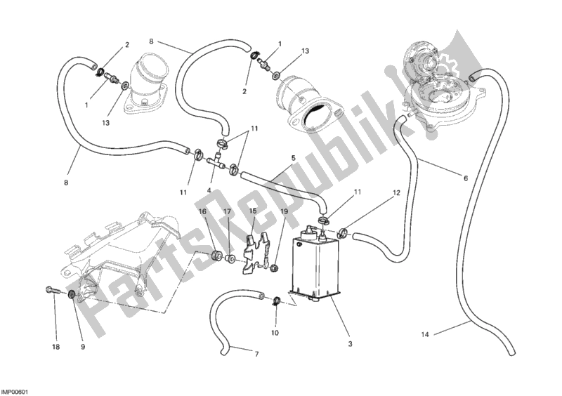 All parts for the Canister Filter of the Ducati Monster 795 Thailand 2012